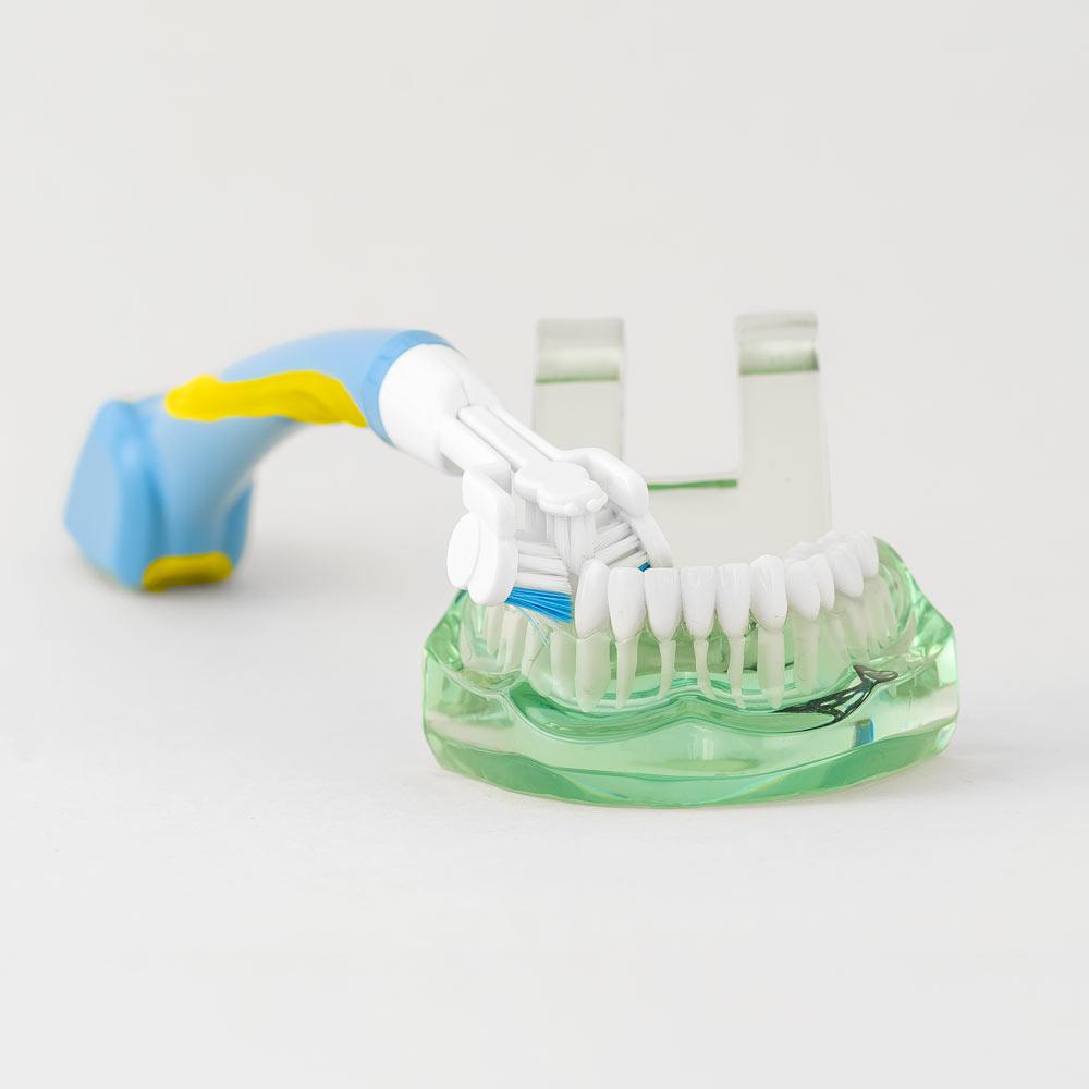 Brush and Bite Toothbrush - Image 3